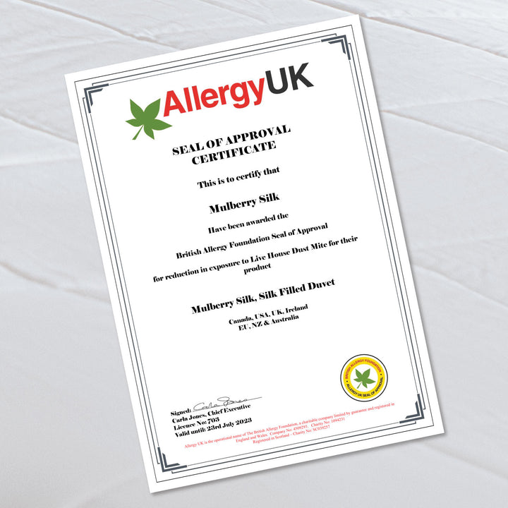 Mulberry Silk™ Duvet